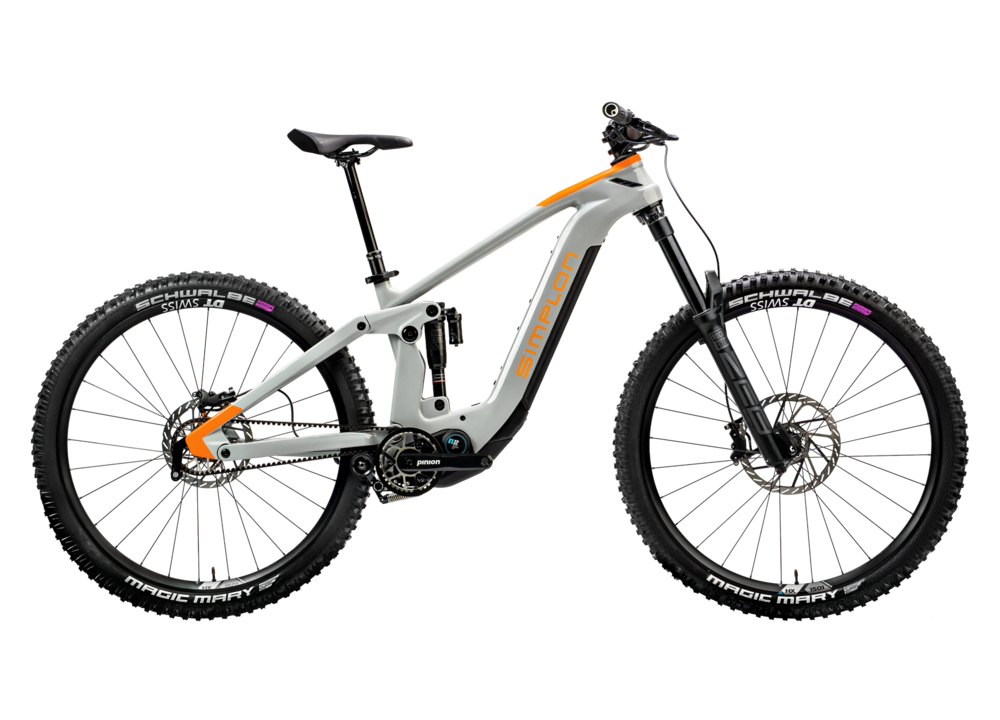 Pinion e bike 2025 trekking